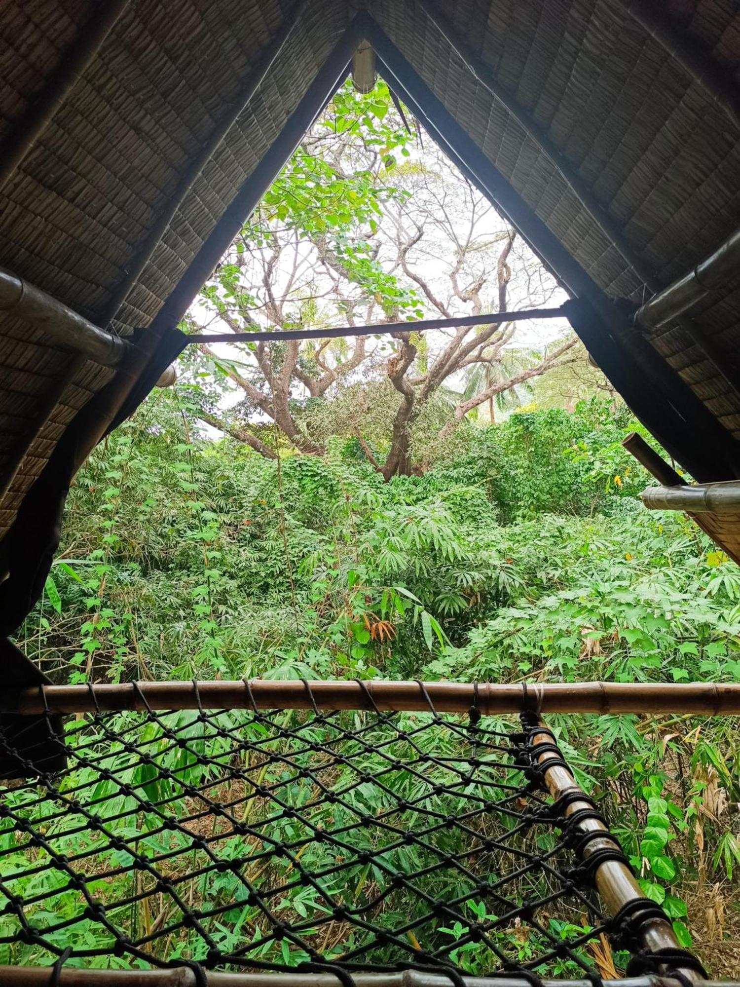 Ecocio Jungle Hostel Coron Εξωτερικό φωτογραφία