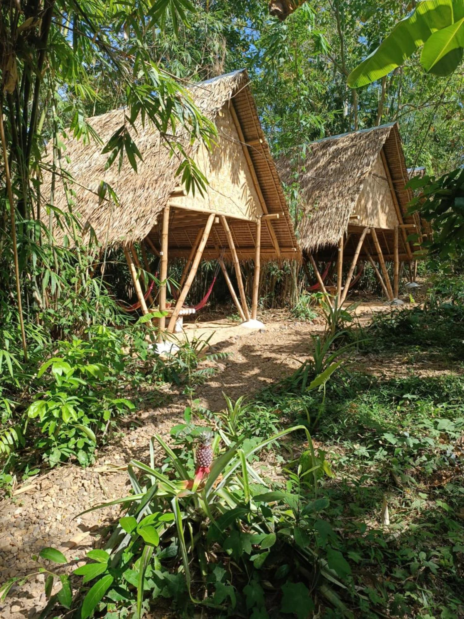 Ecocio Jungle Hostel Coron Εξωτερικό φωτογραφία