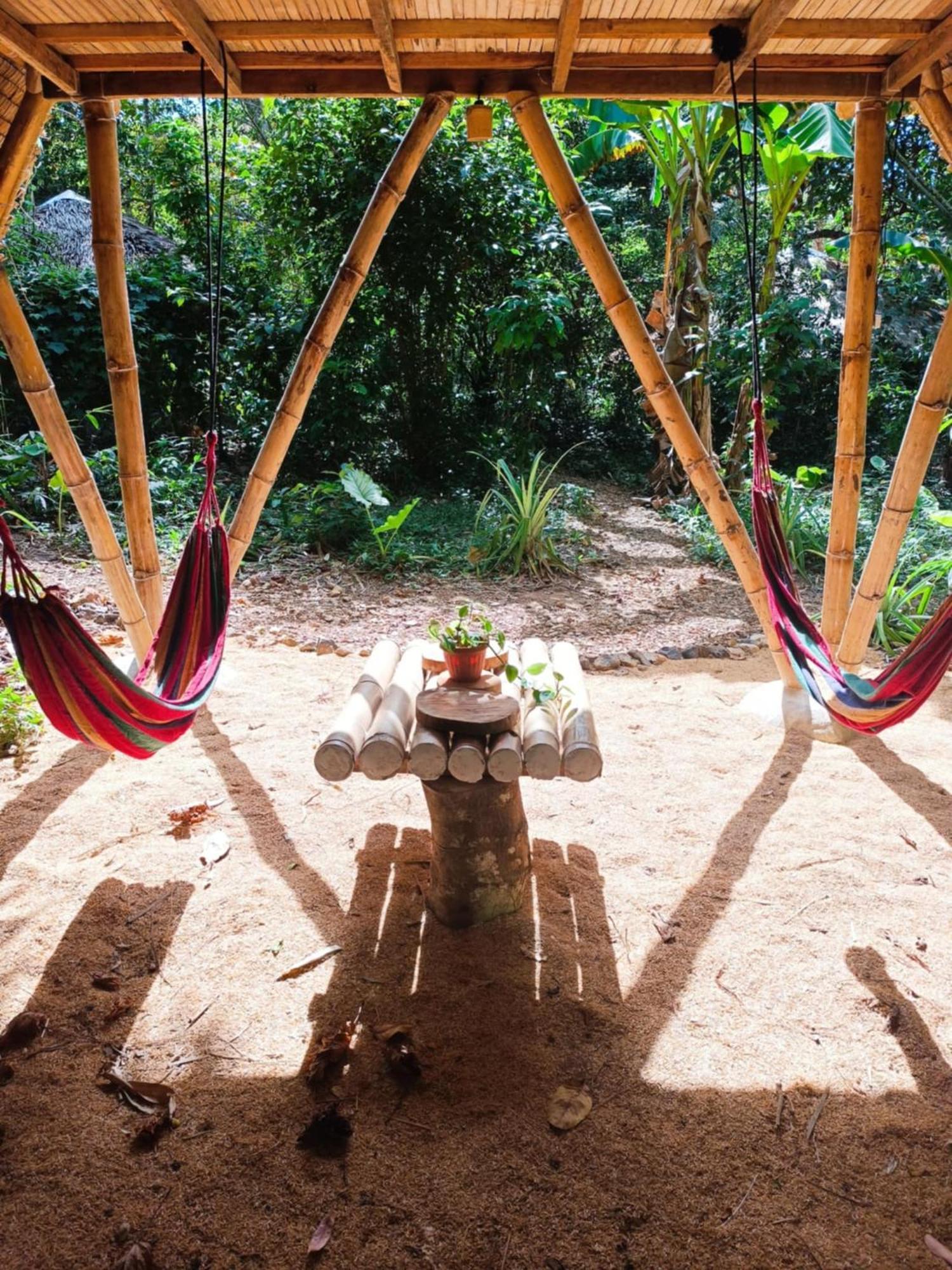 Ecocio Jungle Hostel Coron Εξωτερικό φωτογραφία