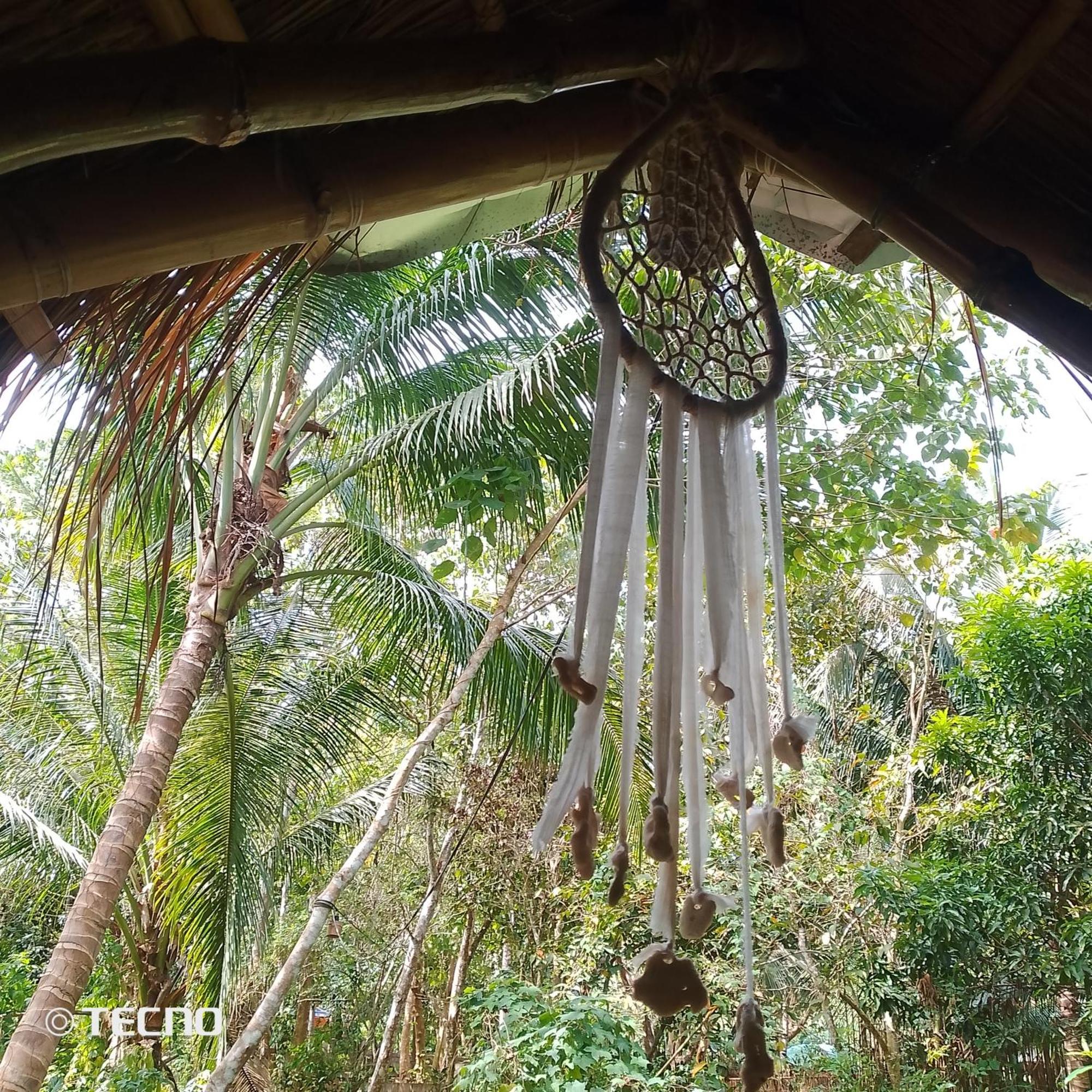 Ecocio Jungle Hostel Coron Εξωτερικό φωτογραφία