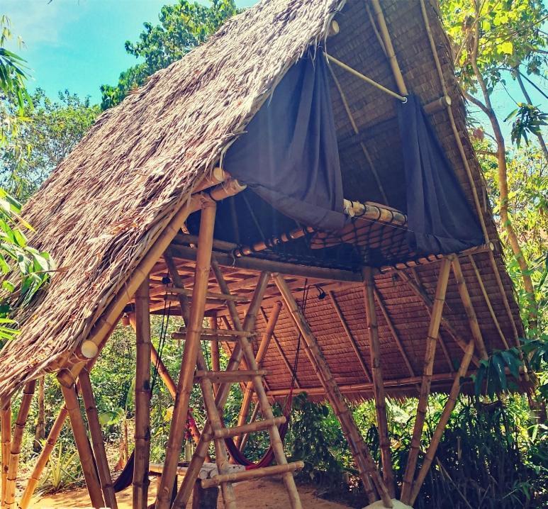 Ecocio Jungle Hostel Coron Δωμάτιο φωτογραφία
