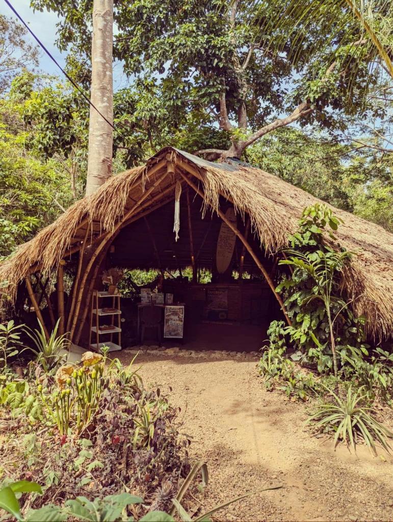 Ecocio Jungle Hostel Coron Εξωτερικό φωτογραφία