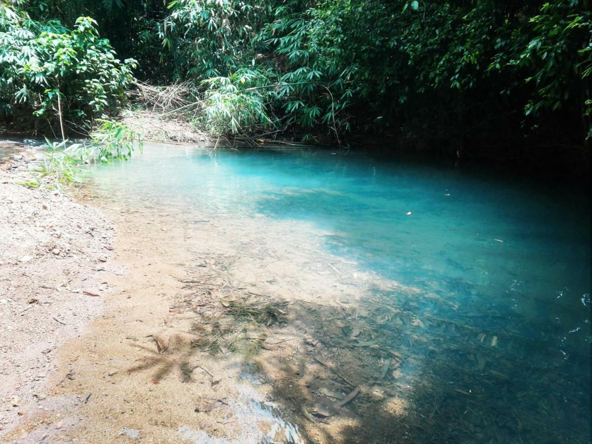 Ecocio Jungle Hostel Coron Εξωτερικό φωτογραφία